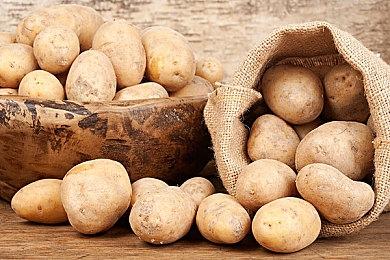 《边缘世界》澳大利亚不予评级 不会影响PC版